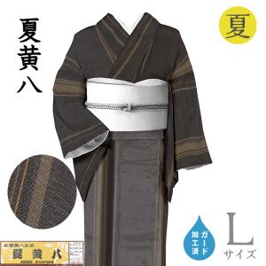 着物だいやす 505□夏大島紬□レア♪本場大島紬 勝ち虫蜻蛉 濃藍