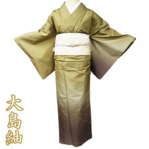 大島紬 着物 中古 正絹 単衣 セミフォーマル 松葉の図 暈し 茶系色 多  