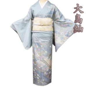紬地 着物 中古 正絹 袷 セミフォーマル 茶系色 多色 身丈153.5cm 裄
