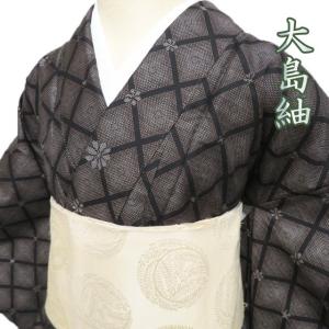 紬 着物 大島紬 龍郷柄 黒x灰色x朱色 袷 広衿 正絹 レトロ