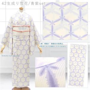 夏着物 4点 セット 洗える 夏きもの 紗 (...の詳細画像2