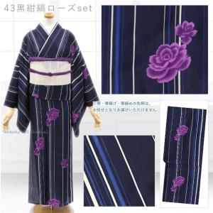 夏着物 4点 セット 洗える 夏きもの 紗 (...の詳細画像3