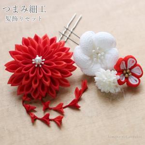 振袖用 簪 髪飾り つまみ細工 八重菊と梅/赤×ピンク 14728 古典