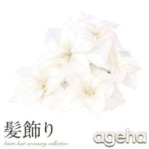 成人式振袖 Ageha 女性用着物 浴衣 の商品一覧 ファッション 通販 Yahoo ショッピング