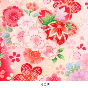 お宮参り 着物 女の子 服装 赤ちゃん 産着 ...の詳細画像3