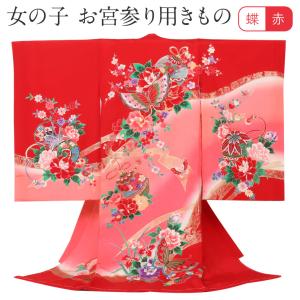 Kisste（キステ） お宮参り 着物 女の子 絹100% 正絹初着 掛け着 産着