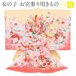 お宮参り 着物 女の子 服装 赤ちゃん 産着 掛け着 祝い着