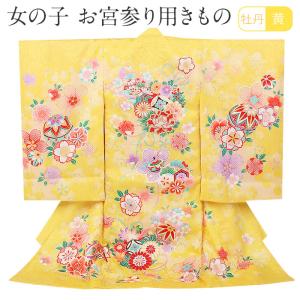 Kisste（キステ） 化粧箱 お宮参り着物専用箱 プレゼント 収納