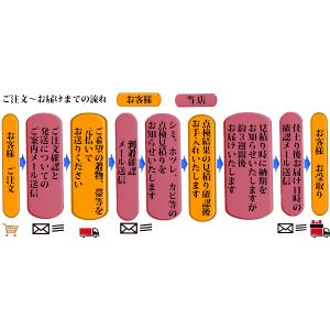 きもの丸洗いクリーニングの詳細画像3