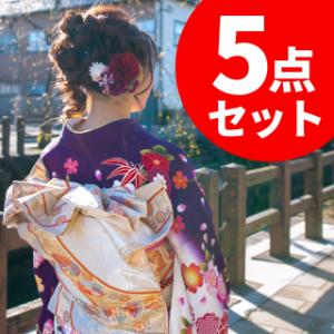 ５点セット組み合わせ自由/着物クリーニング 14000