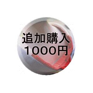 追加購入１０００円