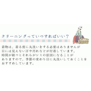 着物 クリーニング 丸洗い 振袖 被布 留袖 ...の詳細画像1