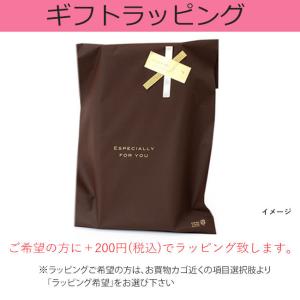 扇子 メンズ 男性用 赤 飛び石 ギフト 京都...の詳細画像3