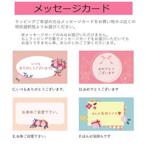 扇子 メンズ 男性用 赤 飛び石 ギフト 京都...の詳細画像4