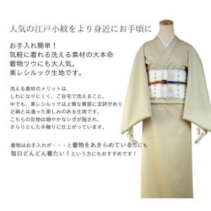 洗える着物 江戸小紋 お仕立て付き 反物 南天...の詳細画像1