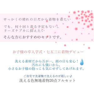 洗える着物 色無地 セット 20点 卒業式 母...の詳細画像1