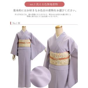 洗える着物 色無地 セット 20点 卒業式 母 ママ 洗える 着物 入学式 お