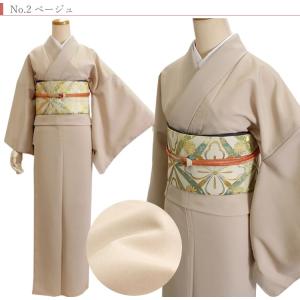 洗える着物 色無地 セット 20点 卒業式 母...の詳細画像4