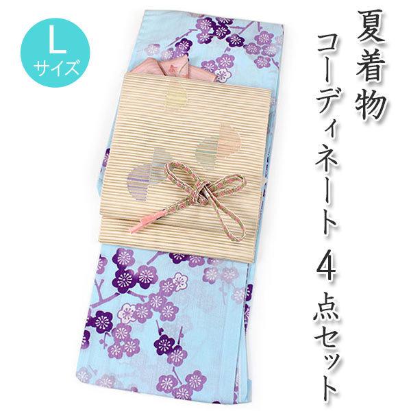 洗える夏着物 コーディネート 4点セット L サイズ 水色地 枝梅柄 半円幾何学柄 名古屋帯 絽 帯...