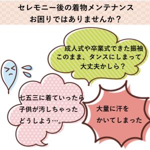 着物 長襦袢 帯 クリーニング 3種セット 礼...の詳細画像1