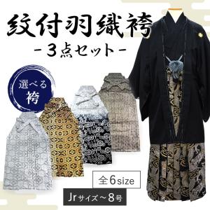 半襦袢 メンズ 日本製 男性用 M L LL 紺 グレー 白 半衿 袖無双 洗える