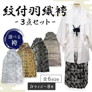 着物 羽織 袴 3点セット 紋付 成人式 卒業式 無地 赤 金襴 Jrサイズ 4