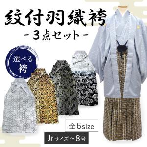 着物 羽織 袴 3点セット 紋付 成人式 卒業式 無地 赤 金襴 Jrサイズ 4