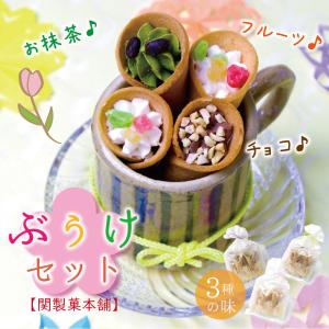 【ぶぅけセット 3種 フルーツ チョコ 抹茶】焼菓子 クリーム かわいい お菓子 花束 スイーツ 京都 和菓子 手土産 おやつ 老若男女