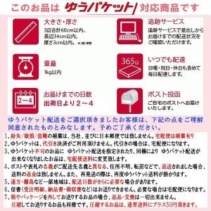 現品限り 返品不可 Hanna Hula ハン...の詳細画像1