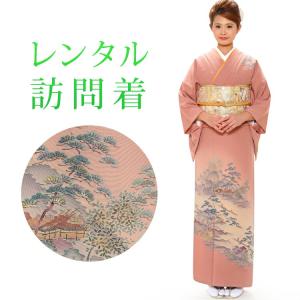 レンタル 訪問着 18点セット 訪問着レンタル フルセット h287 往復送料