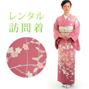 レンタル 訪問着 18点セット 訪問着レンタル フルセット h287 往復送料