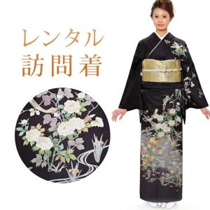 レンタル 訪問着 18点セット 訪問着レンタル フルセット h261 往復送料