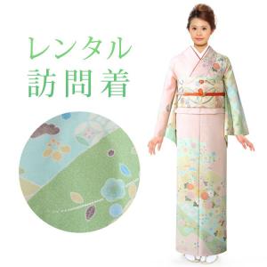 レンタル 訪問着 18点セット 訪問着レンタル フルセット h287 往復送料