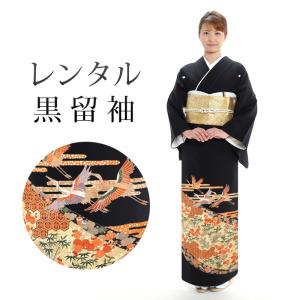 レンタル 黒留袖 18点セット 留袖レンタル フルセット t4-84 往復送料