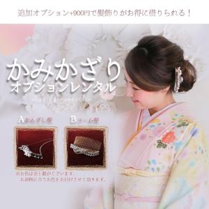 色留袖レンタル18点フルセット 【四季花と虹】...の詳細画像3