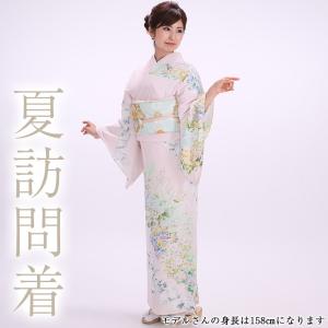 【夏物】訪問着レンタル17点フルセット【絽/初夏...の商品画像
