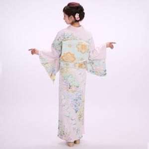 【夏物】訪問着レンタル17点フルセット【絽/初...の詳細画像2