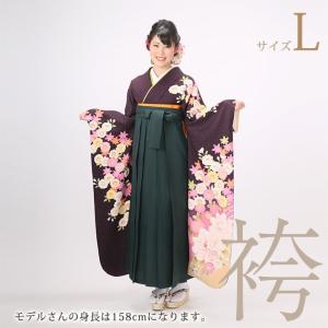 袴レンタル15点フルセット【Lサイズ/紫/扇と牡丹】 足袋プレゼント 卒業式 袴 はかま 大学 短大 専門学校 先生 女｜kimono-re-paradise