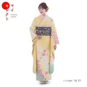 振袖レンタル 正絹 シンプル fg-208b フルセット一式 着物 人気 ネット