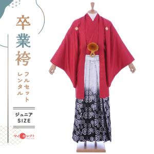 卒業式 男の子 袴レンタル mmo0108 紋付袴フルセット 青 ブルー 着物