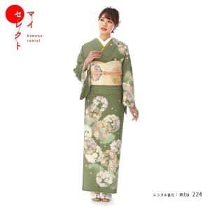 訪問着レンタル 正絹☆全体的に光沢のある華やかな生地☆mtu-240 着物