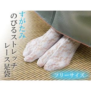 足袋 すがたみ のびるレースストレッチ足袋 フリーサイズ