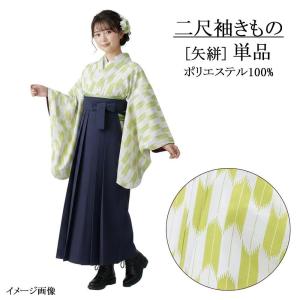 平和屋本店■夏物　重要無形文化財　越後上布　越後上布　反物　着尺　苧麻　逸品　未使用　DZAA10826kh5 平和屋本店□夏物 重要無形文化財 越後上布 越後上布 反物 着尺 苧麻