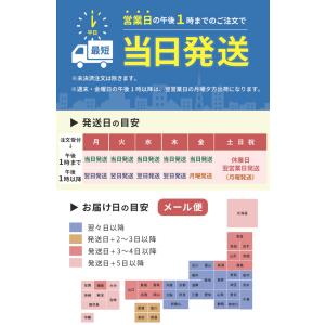 ＼数量 限定/ 肌襦袢 綿ブロード肌着 綿 肌...の詳細画像5