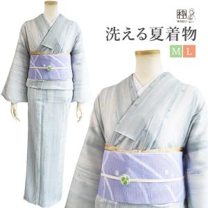 洗える夏着物(絽・付け下げ訪問着) Lフリーサイズ 黒色地に花柄