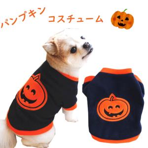 ハロウィンコスチューム ラグランTシャツ半袖 犬 小型犬 可愛い