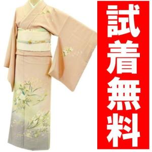 訪問着レンタル ０３５番　１９点フルセットレンタル 往復送料無料｜kimono-world