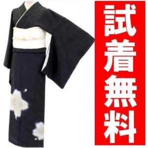 訪問着レンタル ０３７番　１９点フルセットレンタル 往復送料無料｜kimono-world