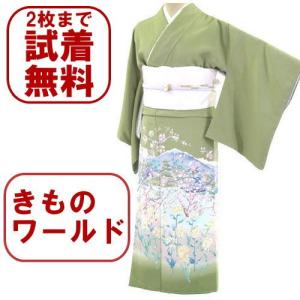 色留袖 レンタル ５１８番 ２０点フルセットレンタル 往復送料無料｜kimono-world