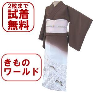 色留袖 レンタル ５２３番 ２０点フルセットレンタル 往復送料無料｜kimono-world